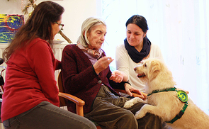 Therapiehündin Kimmy