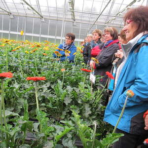 Pfarre Neumarkt im Mühlkreis