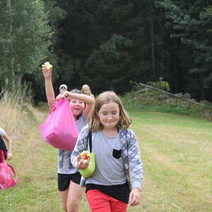 Jungschar- und Ministrantenlager