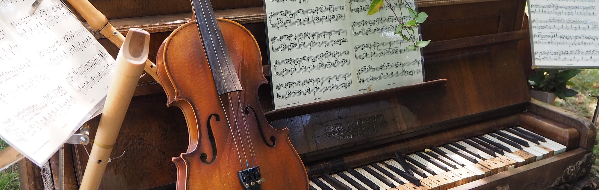 Musikinstrumente in der Natur