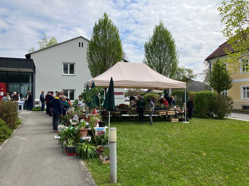 Pflanzenmarkt 2023 / © Pfarrgemeinde Dietach Pflanzenmarkt 2023