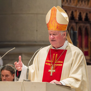 Festgottesdienst im Linzer Mariendom