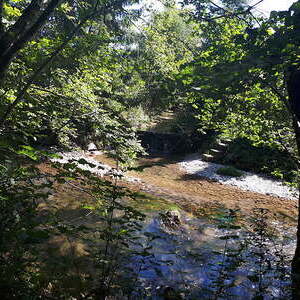 Du führst mich zum Ruheplatz