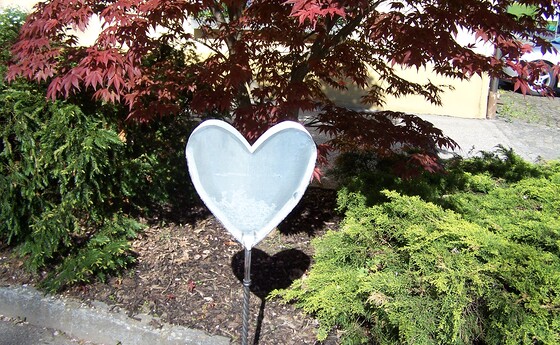 Krankenhausseelsorge Vöcklabruck