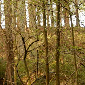 Meditative Pilgerwanderung