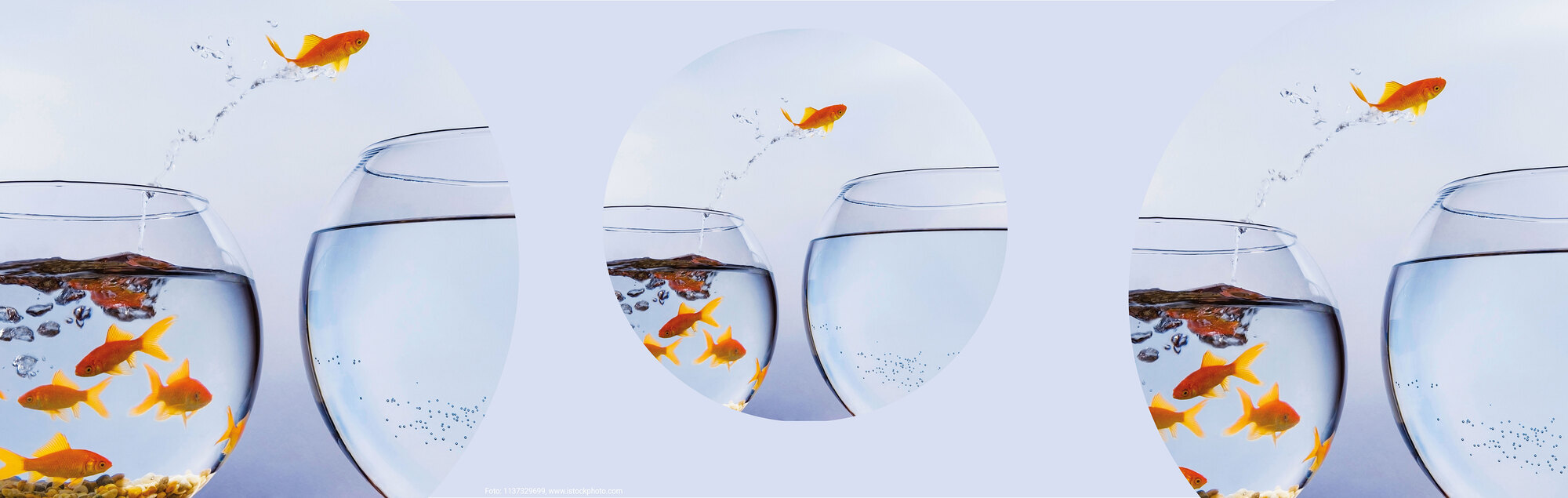 Bildung, die ermächtigt!