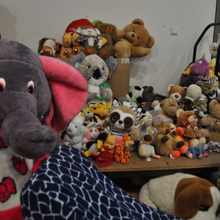 Pfarrflohmarkt / ©Bild für die Pfarrgemeinde Eferding/Michaela Frank