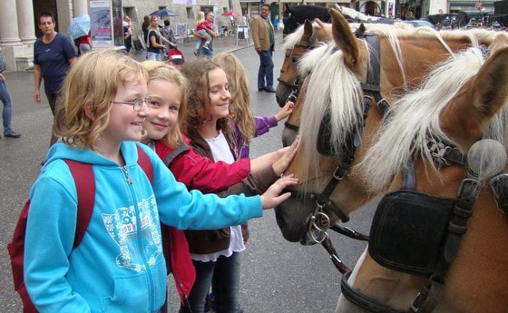 Dom, Schloss Hellbrunn, Getreidegasse