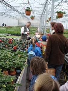 Kindergartenausflug in eine Gärtnerei