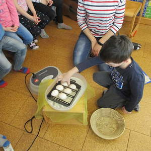 Projekt im März und April 2019