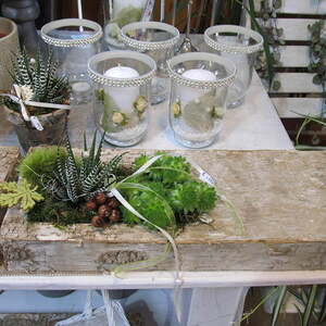 Pfarre Neumarkt im Mühlkreis