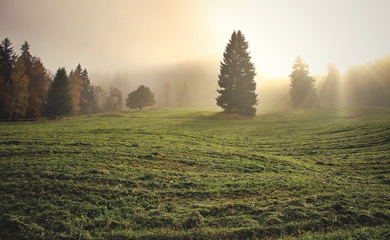 Göttliche Licht, segnen, Geist, Verkünden, heilen