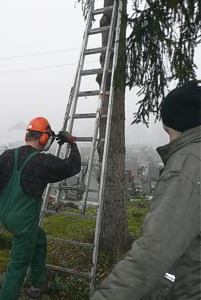 Grünanlage Friedhof