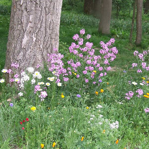 900 Jahre Klosterneuburg
