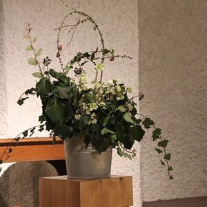 Ehrung für Rosi Mittmannsgruber