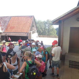 Jungschar- und Ministrantenlager in Roßleiten