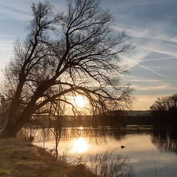 Fluß mit Baum und Weg bei Sonnenuntergang