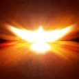 16396265 - shining dove with rays on a dark golden background