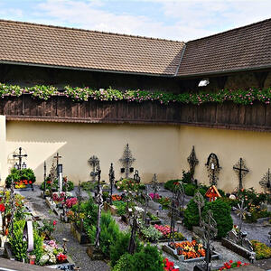 Vorarlbergreise der Kokuwawis