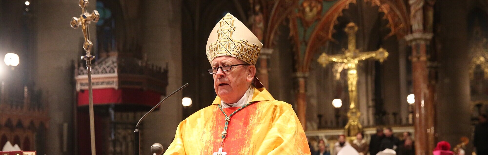 Am 31. Jänner 2016 fand ein festlicher Dankgottesdienst für Bischof Ludwig Schwarz statt. Zwei Wochen davor hatte er sein Amt an seinen Nachfolger übergeben.