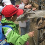 Schulanfängerausflug