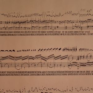 Autodidaktische Kalli(Graphikerin)graphin und Hobbyornithologin