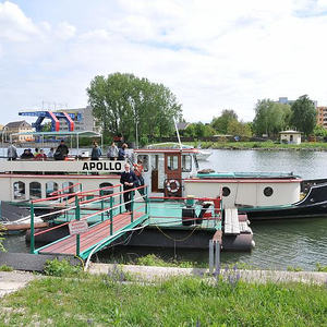 Firmprojekt Hochbeet