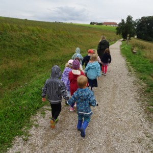 Gelbe Gruppe