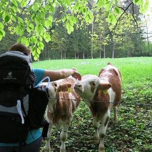 Pilgern Schlierbach-Klaus