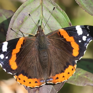 Heidewald Schieferegg - Umweltarbeit in der Diözese Linz