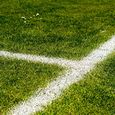 Fußballrasen