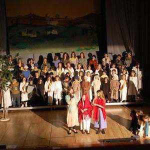 Lilli und das unglaubliche Comeback