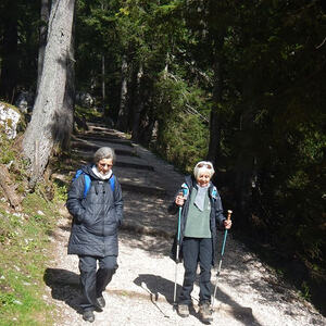 Wurzeralm am Brunnsteiner See