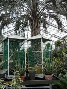 Kindergartenausflug in eine Gärtnerei