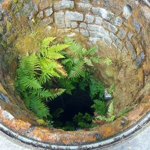 Brunnenreinigung 2022