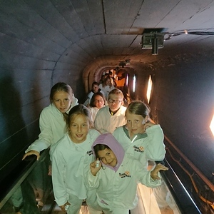 Dienstag, 12. Juli 2022