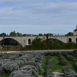 Rest der vielbesungenen Brücke in Avignon