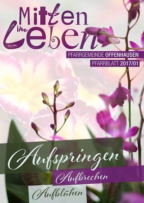 Pfarrblatt - 2017.01