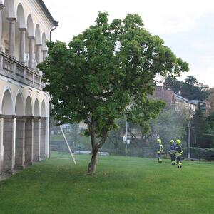 Feuerwehrübung 2016