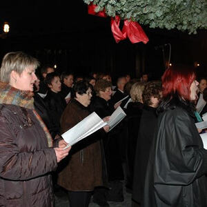 Rom - Christbaum für Papst