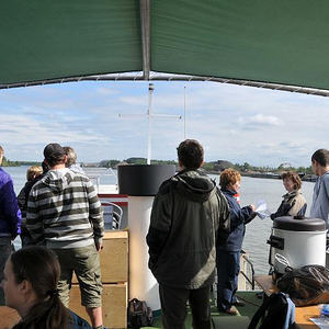 Firmprojekt Hochbeet