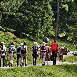 Vorarlbergreise der Kokuwawis