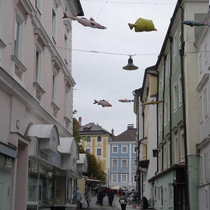 Schwebende Fische in Gmunden                      