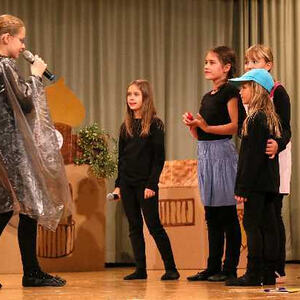 Froschgoscherl Theater 2016