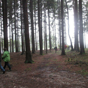 3. Denkmäler- und Marterlroas