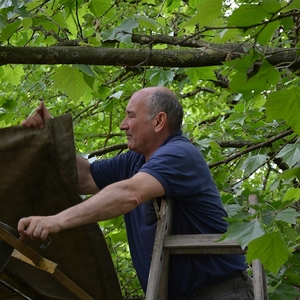 Vorbereitungen für das Pfarrfest