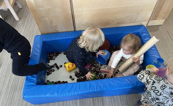 Spaß mit Kastanien!