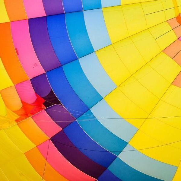 Bunt / © Pexels_pixabay.com Bunt