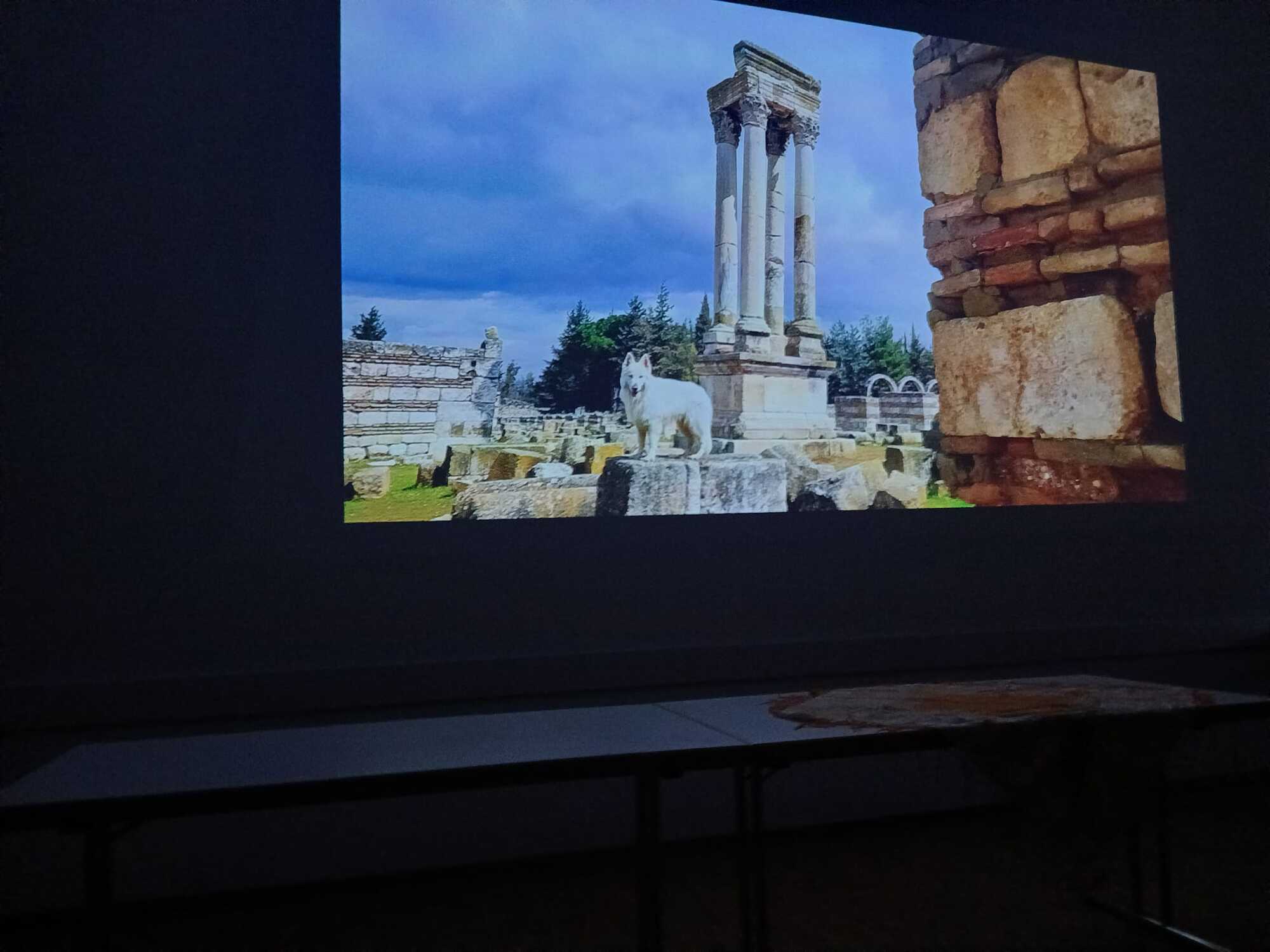 Neuanschaffung BEAMER