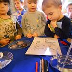 Schmetterlingsgruppe